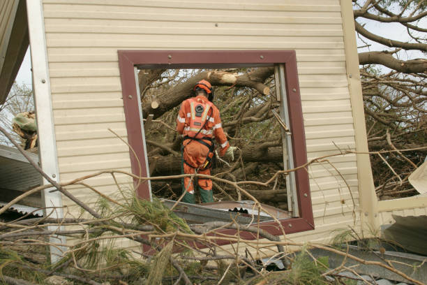 Best Stump Grinding and Removal  in Joshua, TX